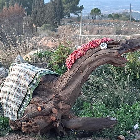Ca La Maria Villa Lilla Bagian luar foto